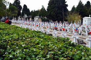 2019 12 05 MARSEILLE Hommage aux morts de la guerre d'algerie ,Tunisie, Maroc (43)